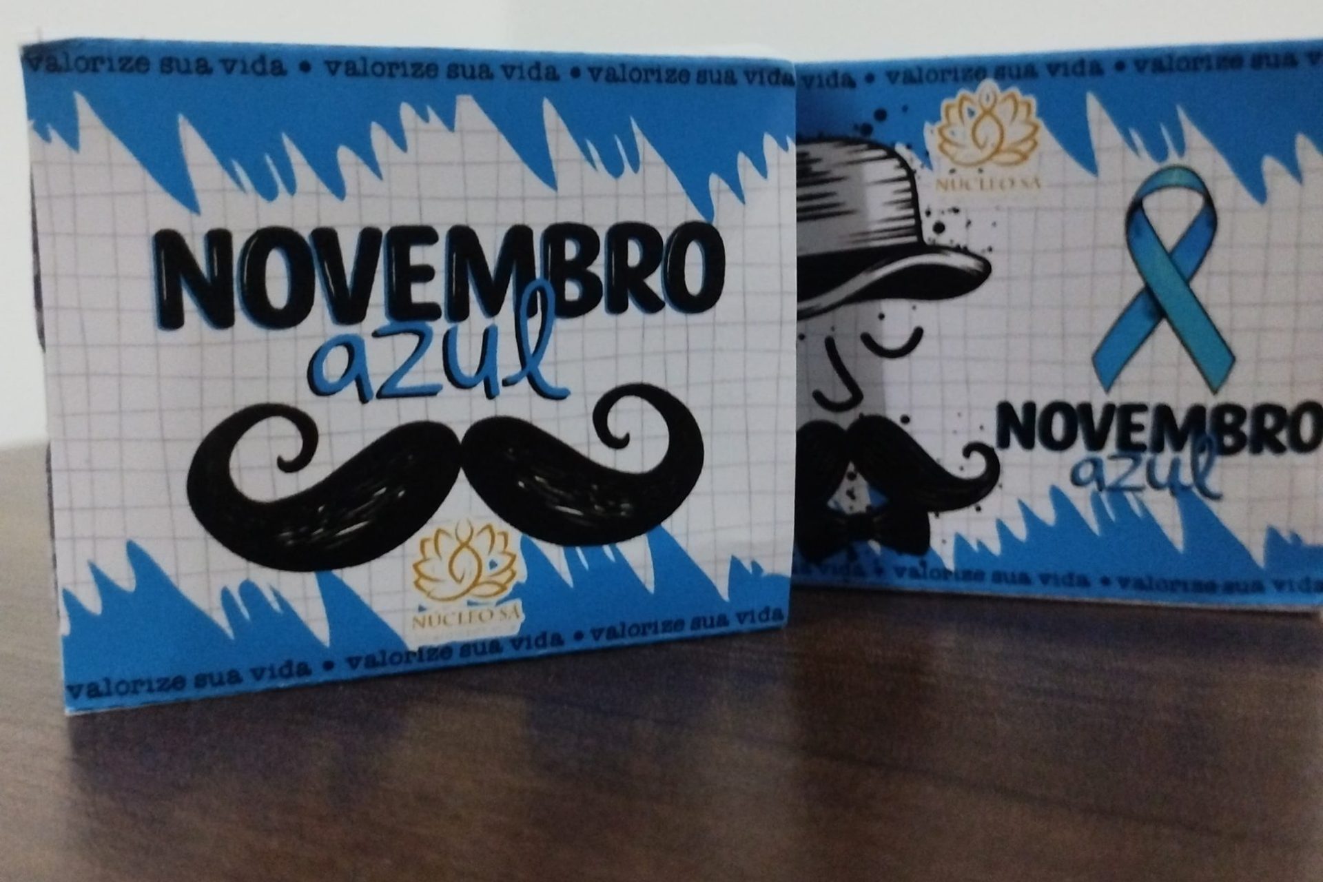 Instituto Pedro Ruiz Novembro Azul