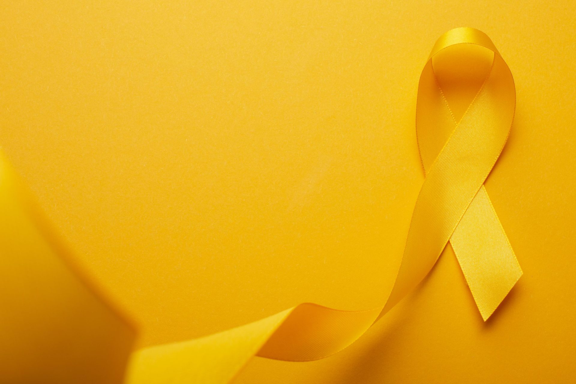 Primavera da Beleza_Setembro Amarelo